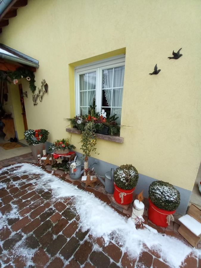 Villa L'Alcôve des p'tits coeurs à Benfeld Extérieur photo